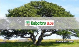 kalpataru blog